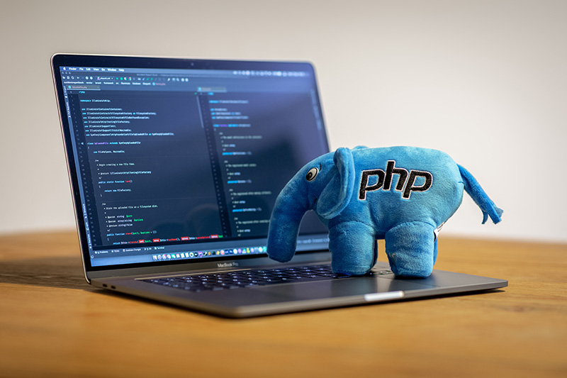 PHP - full stack developer