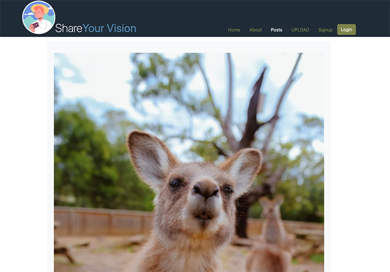 PHP | back end development and programming